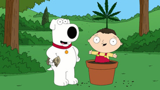 Venezuela Doesn't Think "Everything's Better With A Bag Of Weed"